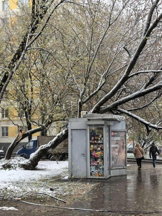Источник: «Москва с огоньком» / T.me