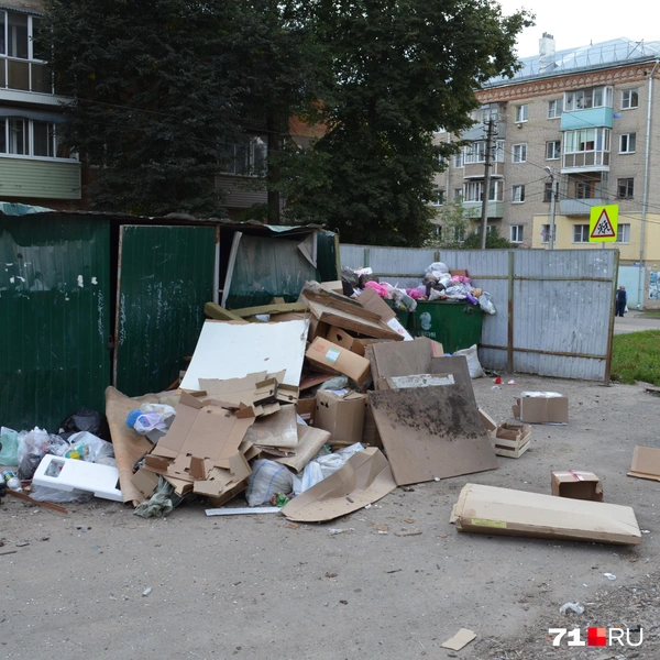 Типичная мусорка в Болохово | Источник: Максим Улитов / 71.RU
