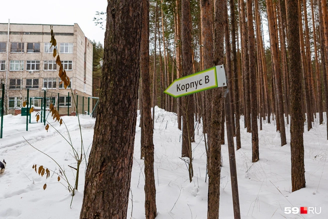 В нескольких минутах прогулки по лесу — корпусы политехнического университета | Источник: Тимофей Калмаков