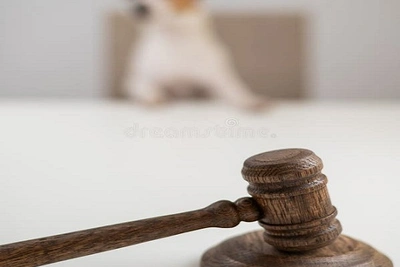 Суд защитил права ребёнка после укуса собаки