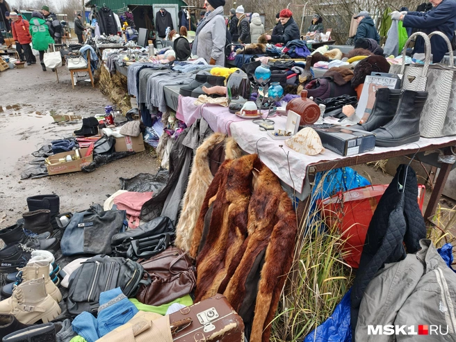 Источник: Серафима Путиева / MSK1.RU