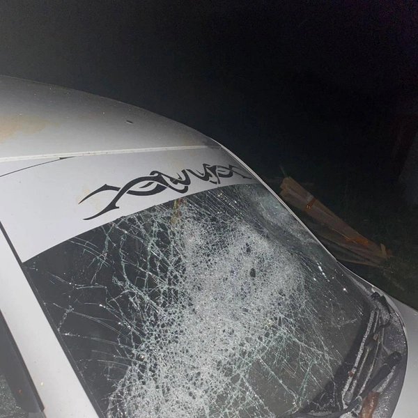 Источник: ГУМВД по Саратовской области