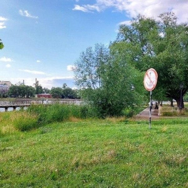 Фотофиксация состояния пляжа, 2022 год | Источник: ЕИС «Закупки» / ООО «Свод»