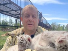 В ход шли электрокар, ведро и совок: владельца парка «Тайган» Олега Зубкова от льва спасали коллега и посетитель