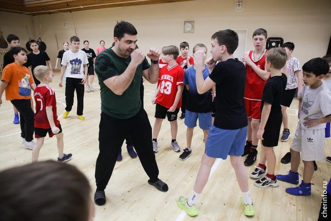 Источник: st.cherinfo.ru