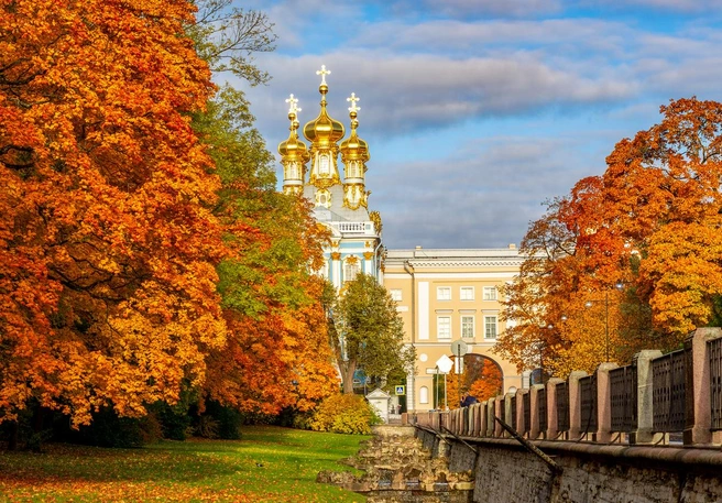 Отмечаем День народного единства в Пушкинском районе | Источник: iStock/Elena Zolotova