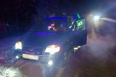 Под Екатеринбургом спасли семью в 30-градусный мороз на трассе