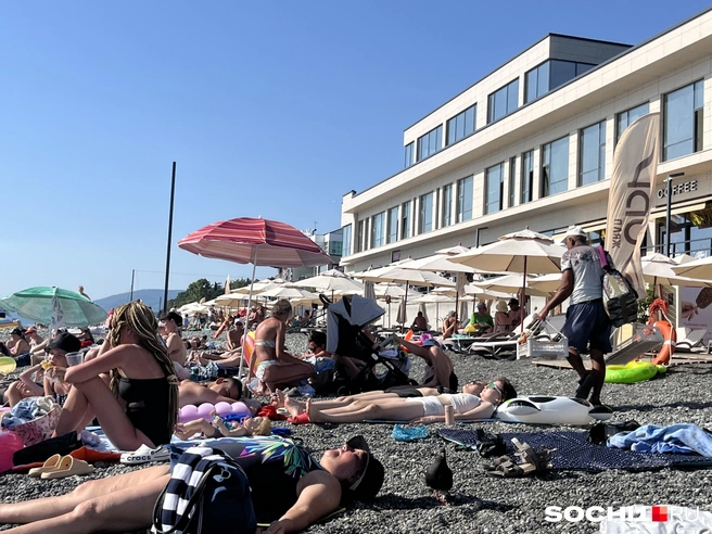 Продавцы пива и рыбы в Сочи будут всегда | Источник: Анна Грицевич / SOCHI1.RU
