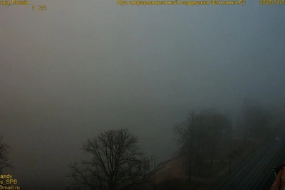 Петербург окутал густой туман