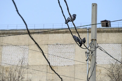 Hooligans, drivers, illegal loggers cause Transbaikal power cuts