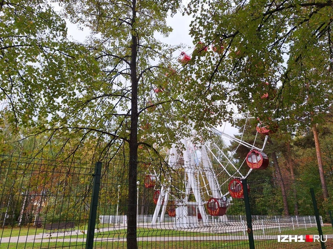 Фото заставочное | Источник: Юлия Дёмина/ IZH1.RU