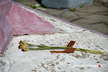 Источник: Елена Буйвол / VLADIVOSTOK1.RU