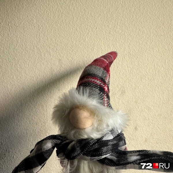 Источник: Читатель 72.RU