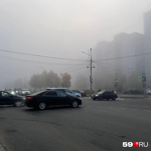 Источник: Тома Минадзе / 59.RU