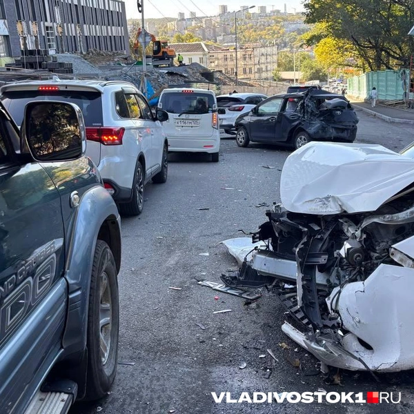 Источник: Елена Буйвол / VLADIVOSTOK1.RU
