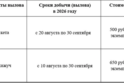 На Сахалине открыли 7 участков для лова кеты и кижуча