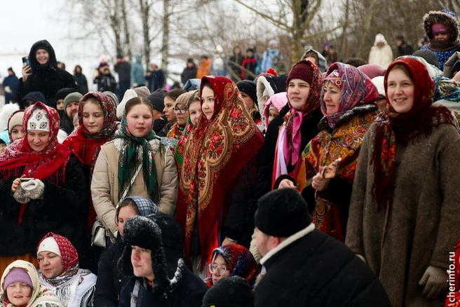 Источник: st.cherinfo.ru