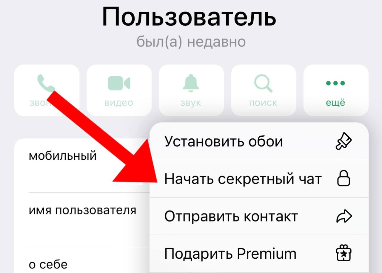 Почувствуй себя хакером: 20 фишек и багов Telegram, о которых ты могла не  знать | theGirl