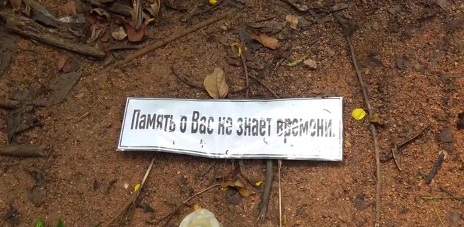 Детей похоронили | Источник: Истории без сахара. Погребижская / YouTube