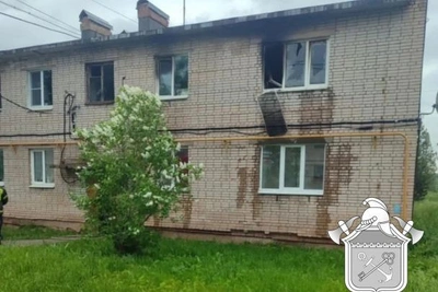 Пожарные вывели девять детей из горящей квартиры в Ленобласти