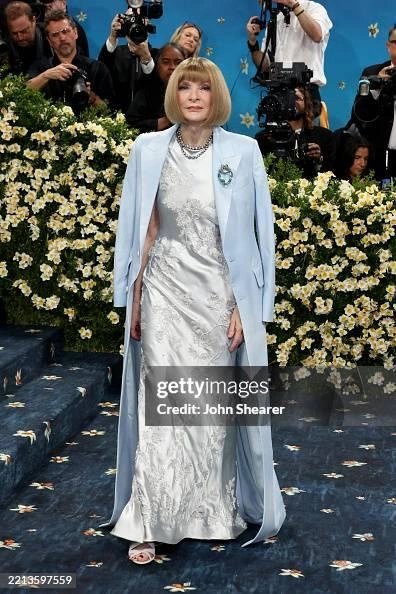 Анна Винтур в серебристом платье от Louis Vuitton | Источник: John Shearer / WireImage