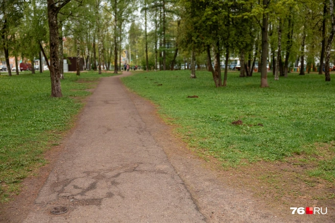 Слева&nbsp;— асфальтовая дорожка, которая явно нуждается в обновлении | Источник: Александр Куренной / 76.RU