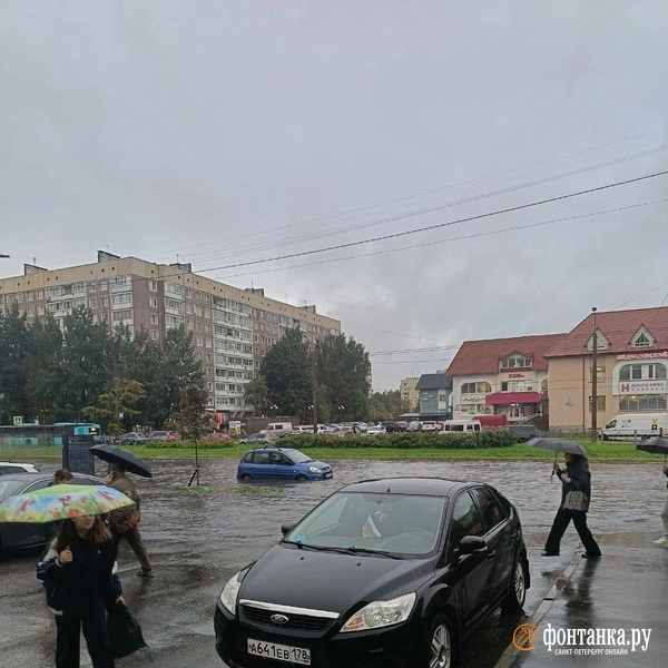 Источник: читатель «Фонтанки»