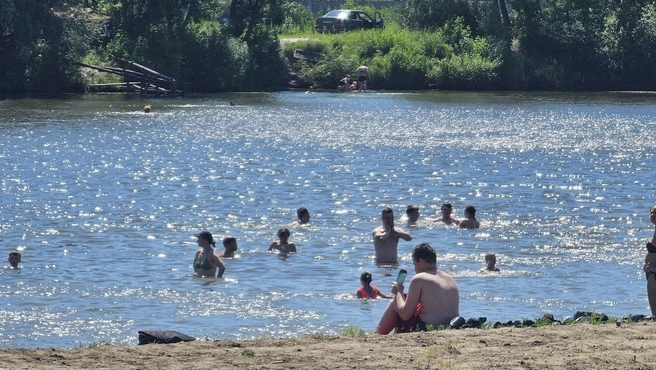 На курганских пляжах рекомендуют воздержаться от купания | Источник: Дарья Никитченко / 45.RU