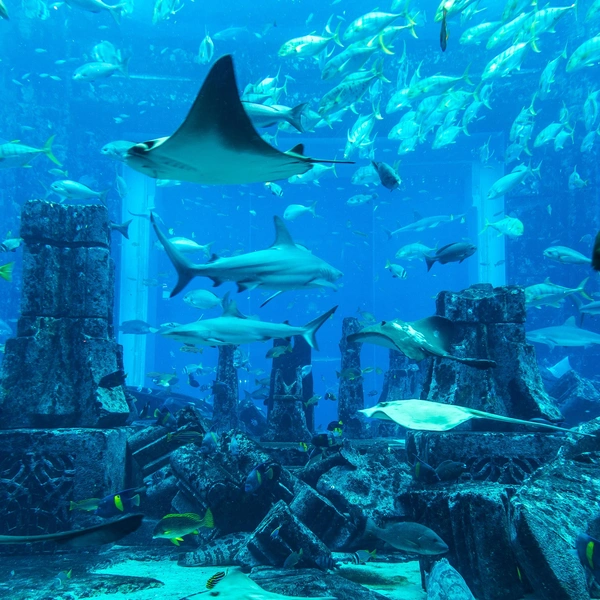 Источник: Sergii Figurnyi/Shutterstock/Fotodom.ru