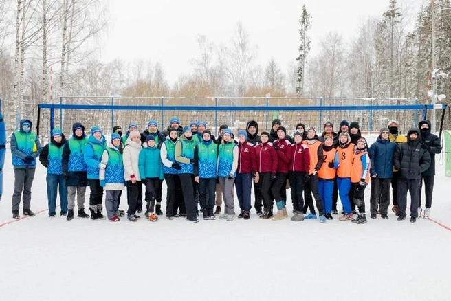 Источник: st.cherinfo.ru