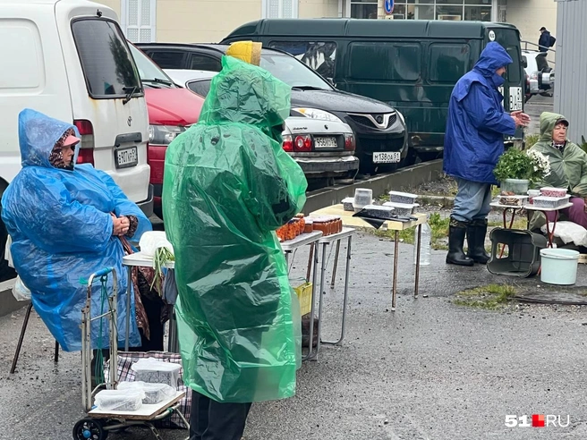 Дачники торгуют даже в дождь | Источник: Александра Балаба