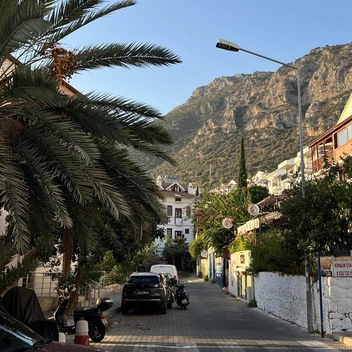 Источник: Елизавета Пенкина