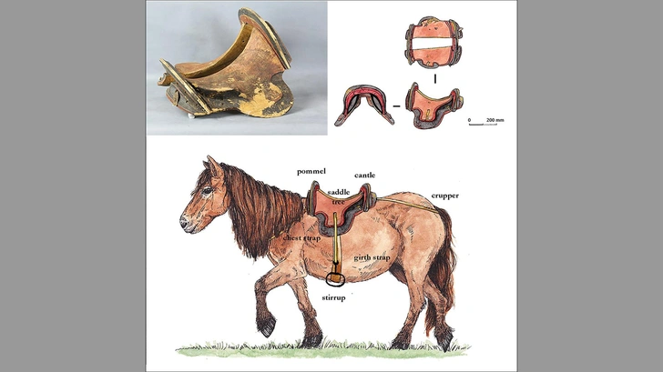Это седло возрастом 1600 лет оказалось самым древним в мире. Угадаете, в какой стране его нашли?