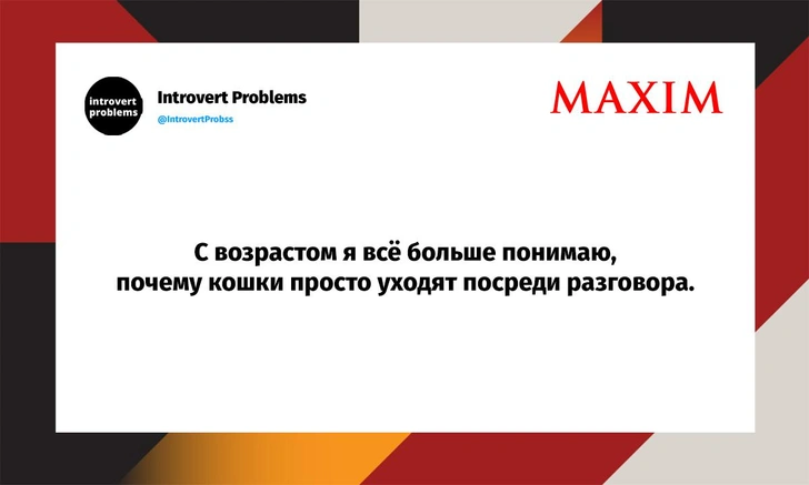 Самые смешные шутки среды и «мужик превратился в жука» | Источник: X (Twitter)