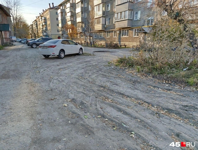 Высохшие колеи | Источник: Надежда Тихомирова, 45.RU