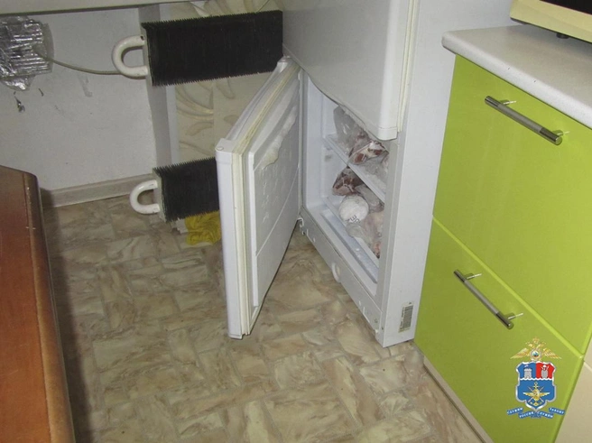 Мужчина спрятал наркотики в морозилке | Источник: пресс-служба УТ МВД России по СКФО