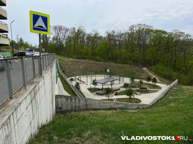 Источник: Алиса Князева / VLADIVOSTOK1.RU