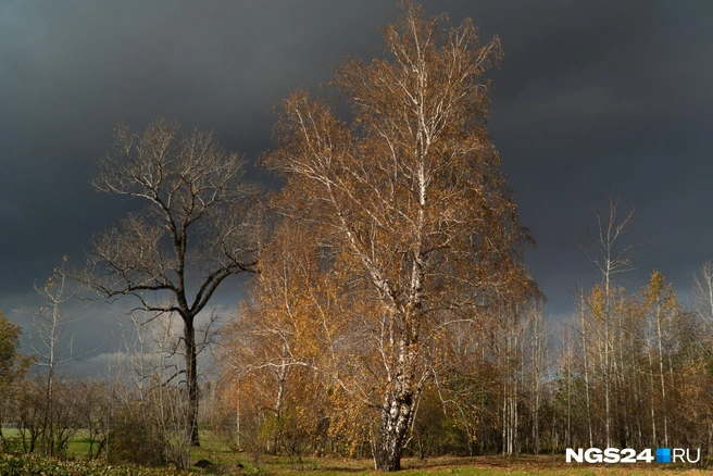 Небо страшно красивое | Источник: Никита Шайхутдинов / NGS24.RU