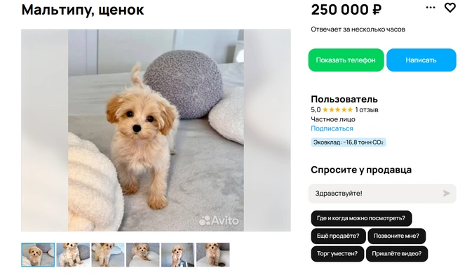 В эту стоимость входит полный комплект документов | Источник: Авито