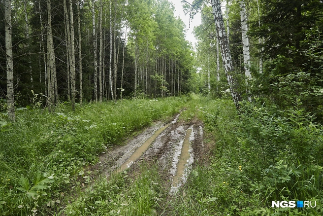 От села Кусково до пещеры 5 километров, и дорога достаточно простая для взрослых, тренированных людей. А вот на легковой машине ее преодолеть будет совсем нелегко | Источник: Александр Ощепков / NGS.ru