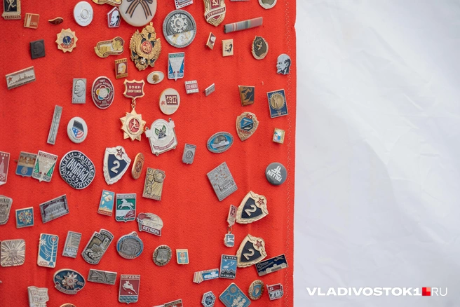 Источник: Елена Буйвол / VLADIVOSTOK1.RU