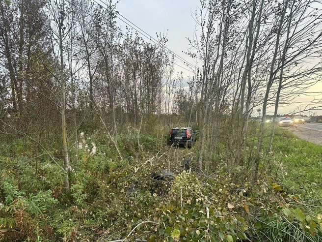 Съезд в кювет с наездом на дерево: в Гатчинском районе произошло смертельное ДТП | Источник: Телеграм-канал «Петербургская полиция»