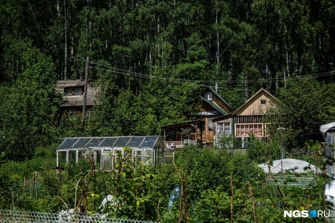 В садоводческих товариществах часто происходят бурные конфликты за власть. Но в СНТ «Маяк» к вопросу политической борьбы дачники подошли особенно тщательно | Источник: Александр Ощепков / NGS.RU