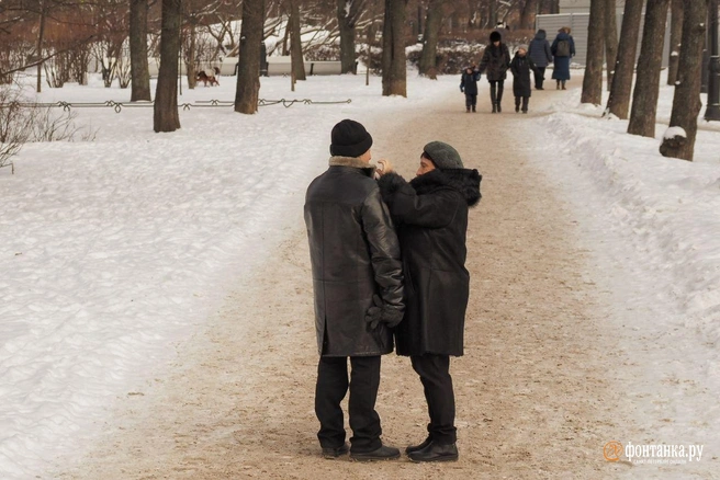 Ниже -20 было ночью в Петербурге. Завтра атмосферный фронт изменит погоду | Источник: Михаил Огнев / «Фонтанка.ру»