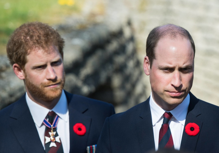 Эксперт поведал, как королева Елизавета II относится к разладу между принцами Гарри и Уильямом