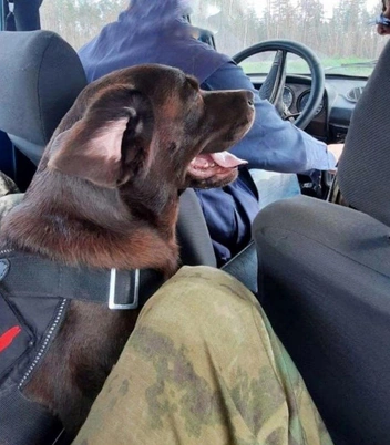 Бойцы беспокоятся о Кэт, она их верный друг