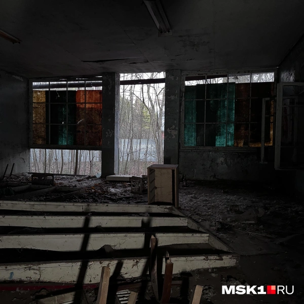 Источник: Алина Мельникова / MSK1.RU