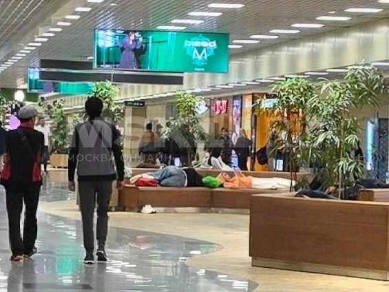 В Домодедово пассажирам пришлось спать на лавочках | Источник: читательница MSK1.RU