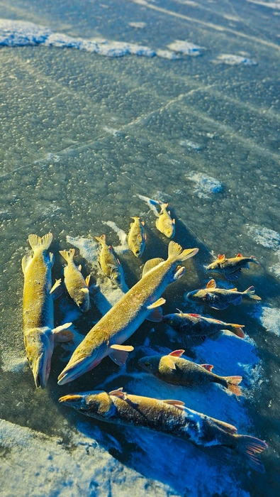 Источник: Сергей Тарасенко / Vk.com