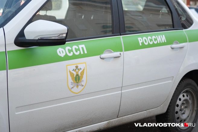 Должностные лица с 2023 по 2024 год незаконно закрыли почти 140 исполнительных производств | Источник: Елена Буйвол / VLADIVOSTOK1.RU